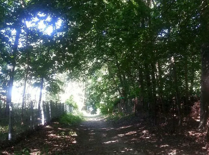 Holzhaus Trollbluemchen Am Wald Und * نيوروبين